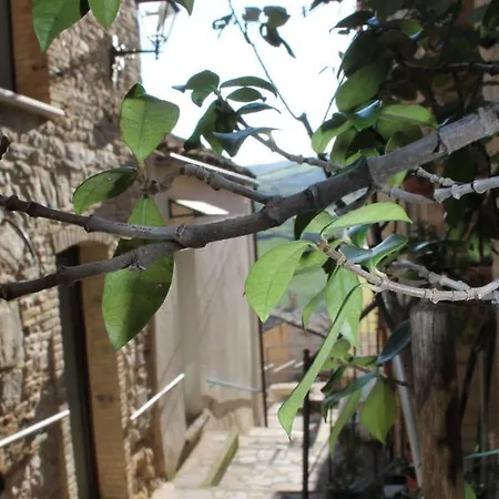 Sotto Le Mura